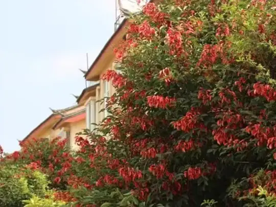 Árboles con flores únicas