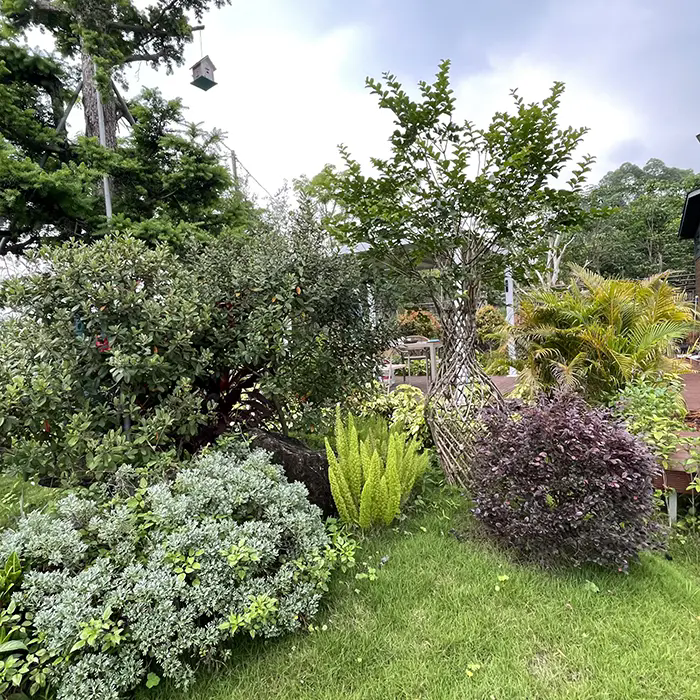 ¿Cómo crea Crape Myrtle un paisaje impresionante y de bajo mantenimiento? ¿Cómo crea Crape Myrtle un paisaje impresionante y de bajo mantenimiento?